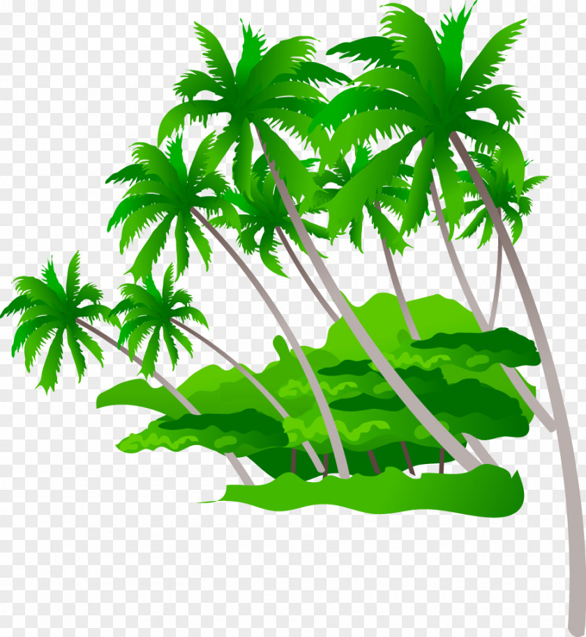 Great Fresh Coconut Beach Summer Desktop Wallpaper Photography PNG