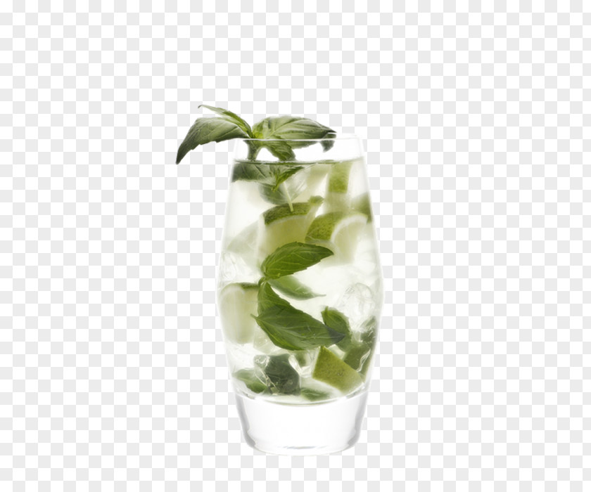 Leaf Plant Vase Highball Glass Lemon Basil PNG