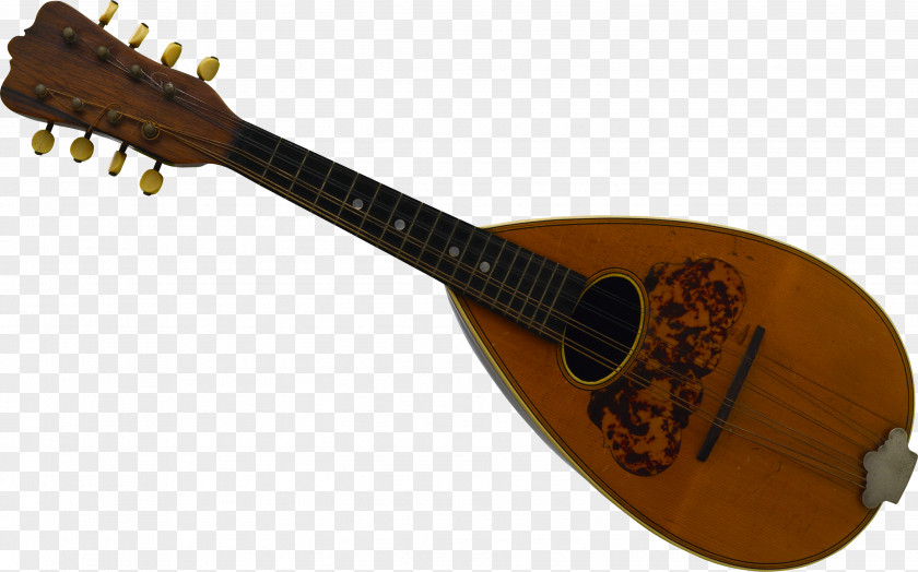 Traditional Musical Instruments String Mandolin Plucked Instrument PNG