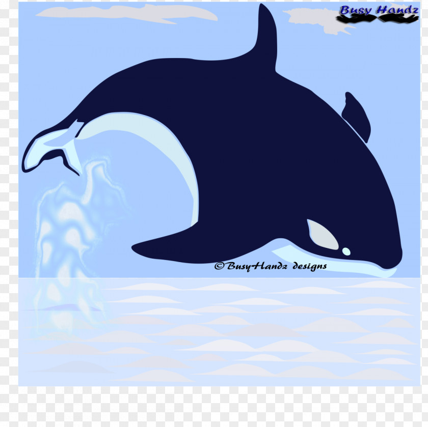 Blue Whale Killer Common Bottlenose Dolphin Tucuxi Marine Biology Desktop Wallpaper PNG