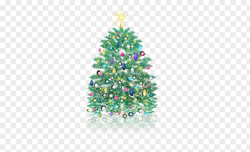 Christmas Tree Pine PNG