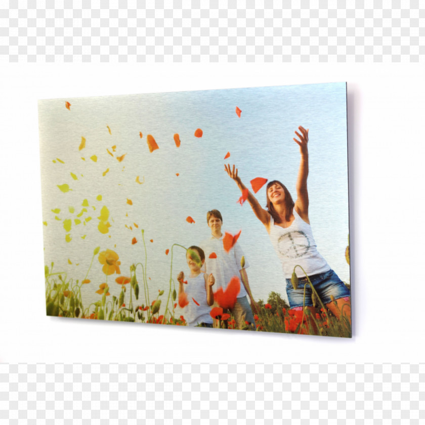 Hanging Polaroid Desktop Wallpaper Associação Mutualista De Arcozelo Lifestyle Guru Health Insurance PNG