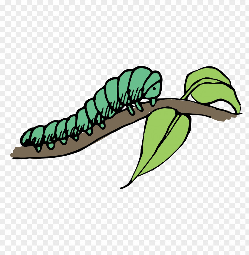 Lying On The Branches Caterpillars Caterpillar Clip Art PNG