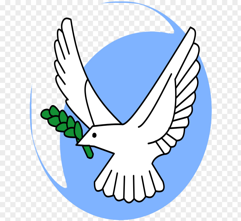 Picture Of Dove With Olive Branch Petition Columbidae Symbol PNG