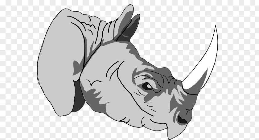 Rhino Head Cliparts Rhinoceros Cartoon Horn Clip Art PNG