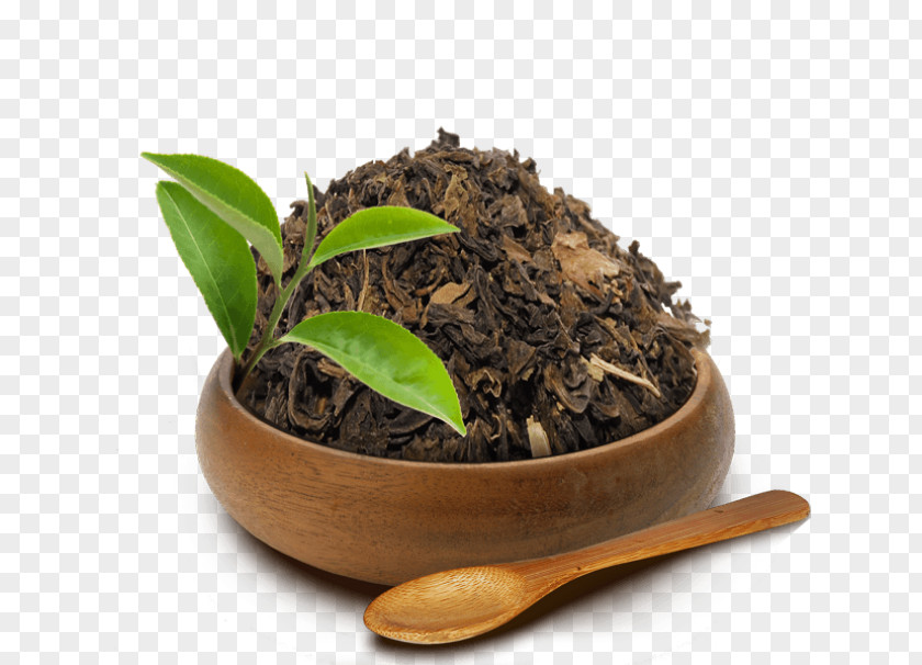 Tea Oolong Nilgiri Romeritos Black PNG