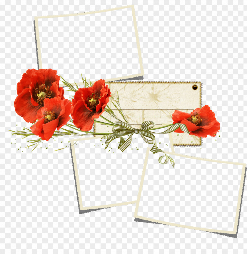Webcam Poppy Flower Clip Art PNG