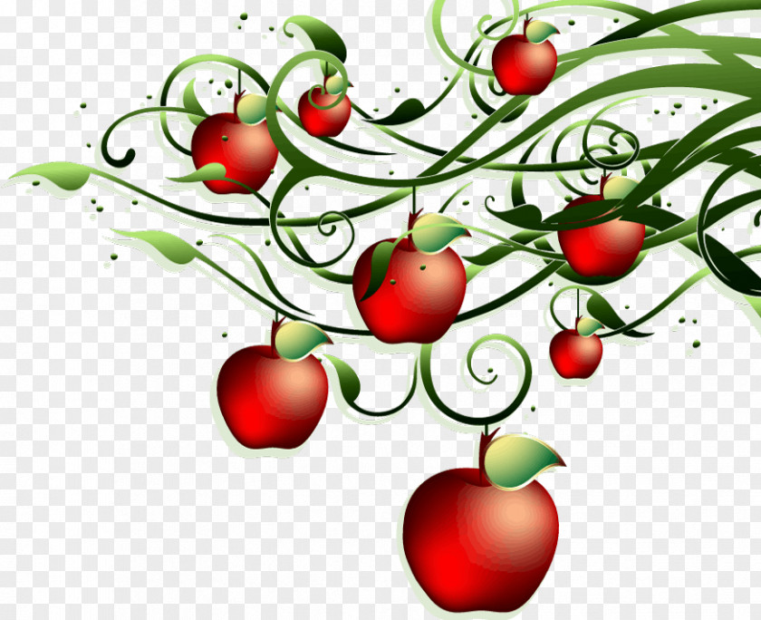 Apple Tomato Royalty-free PNG