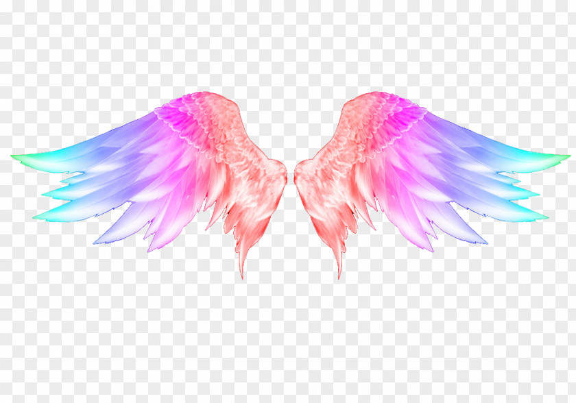 Colorful Angel Wings Snowflake Art Wing Feather Clip PNG