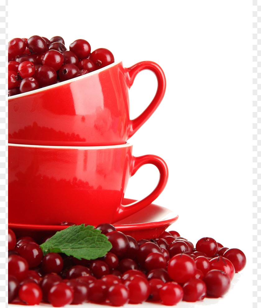 Cranberry Red Blueberry Tea Lingonberry Zante Currant PNG