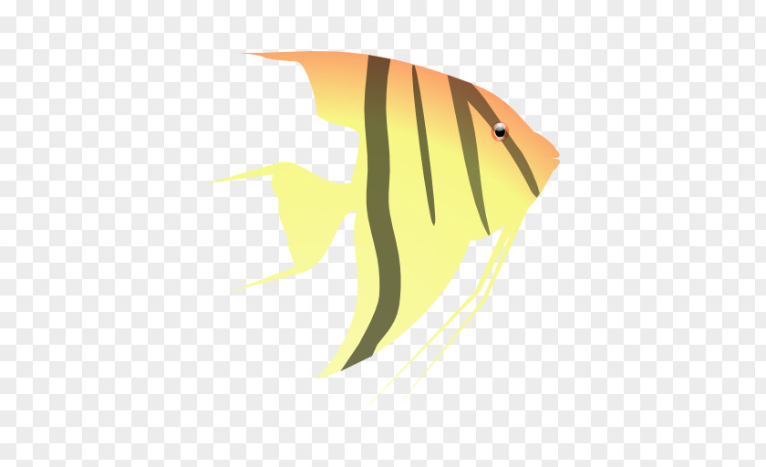 Fish Freshwater Angelfish Fin Clip Art PNG