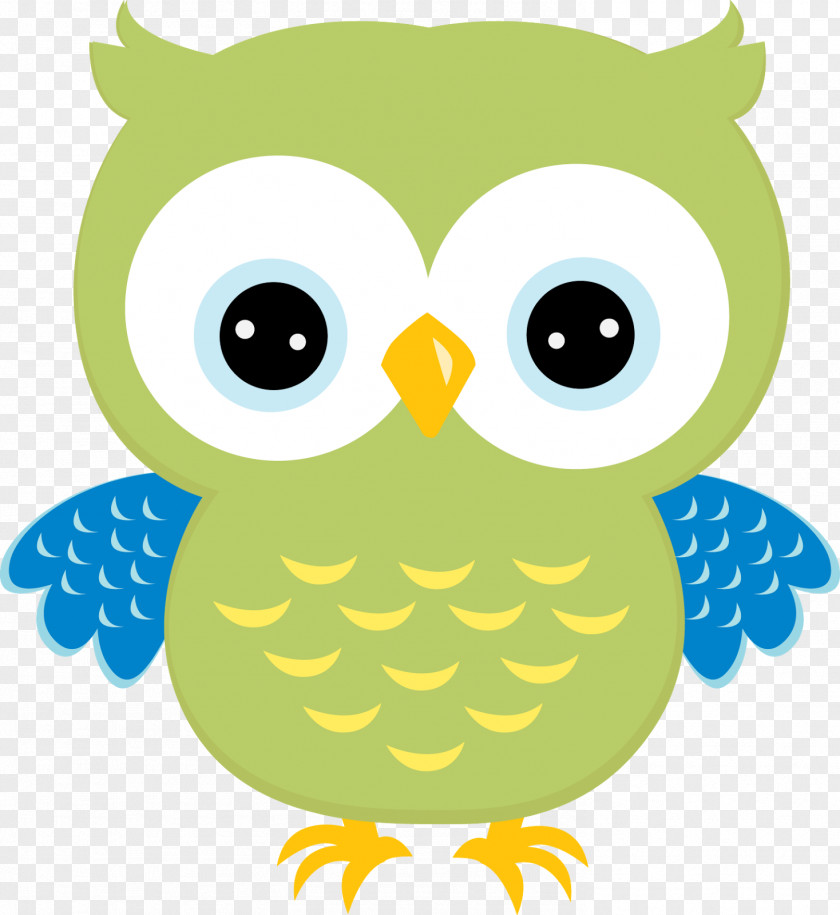 Owl Baby Owls Little Clip Art PNG