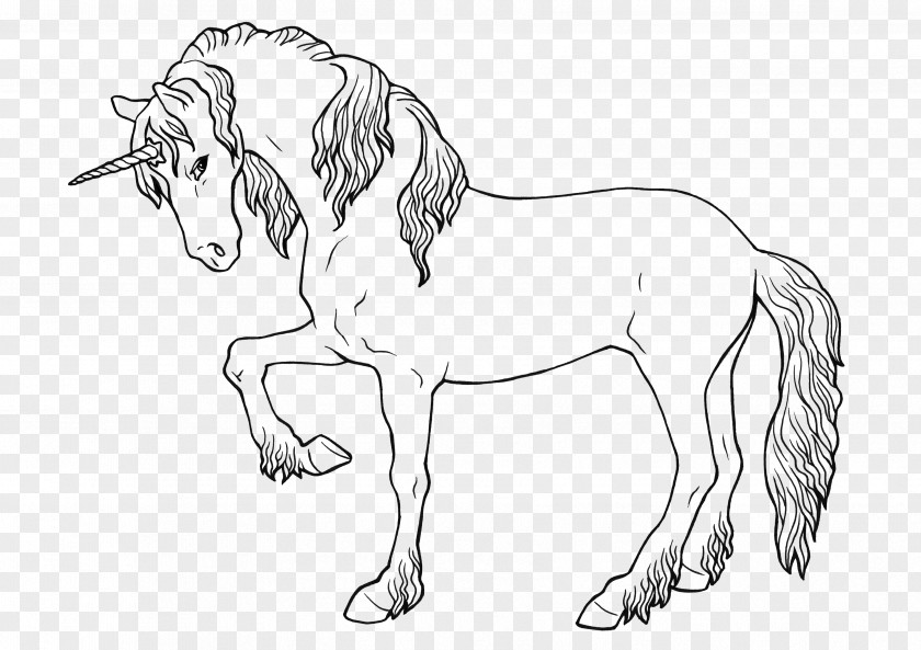 Unicorn Ausmalbild Legendary Creature Pegasus Filly PNG