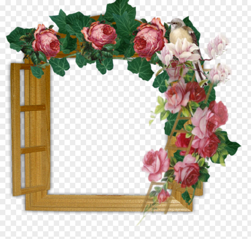 Window Garden Roses Flower PNG