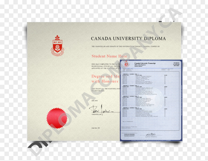 Fakedegree Thompson Rivers University George Brown College Diploma Transcript Academic Degree PNG