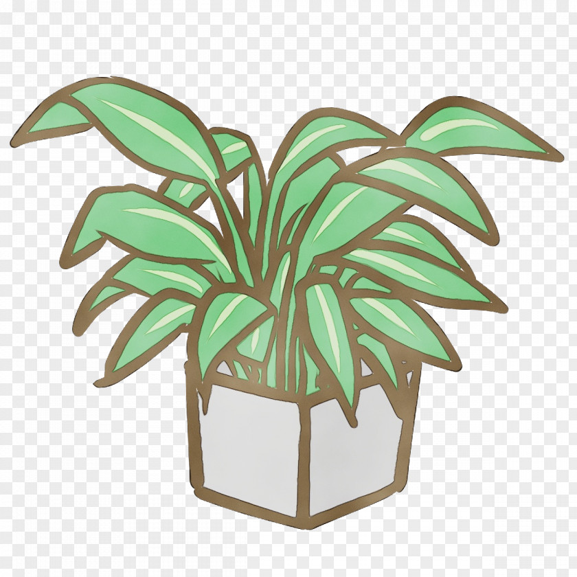 Leaf Plant Stem Flowerpot Houseplant M-tree PNG