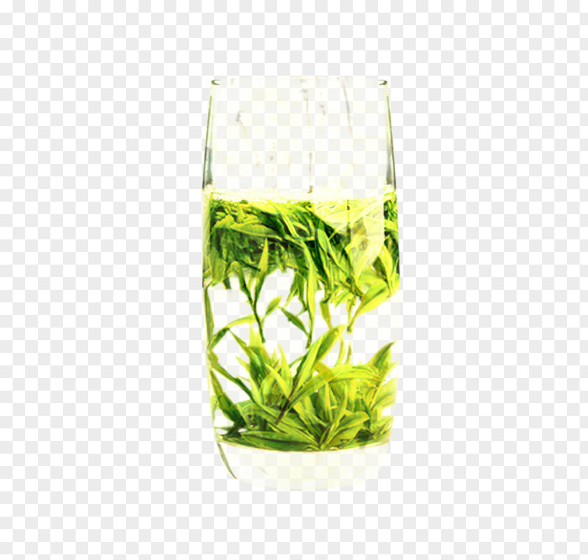 Chlorophyta Houkui Tea Grass Cartoon PNG