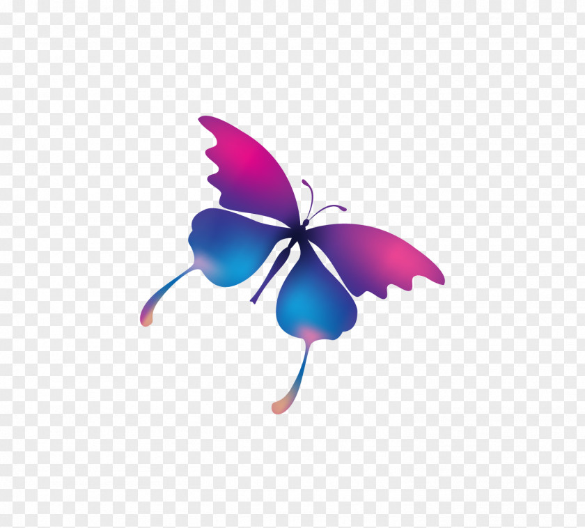 Colorful Butterfly Nail Printer Digital Printing PNG