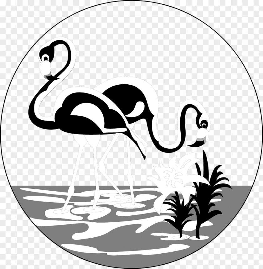 Flamingos Flamingo Drawing Black And White Clip Art PNG