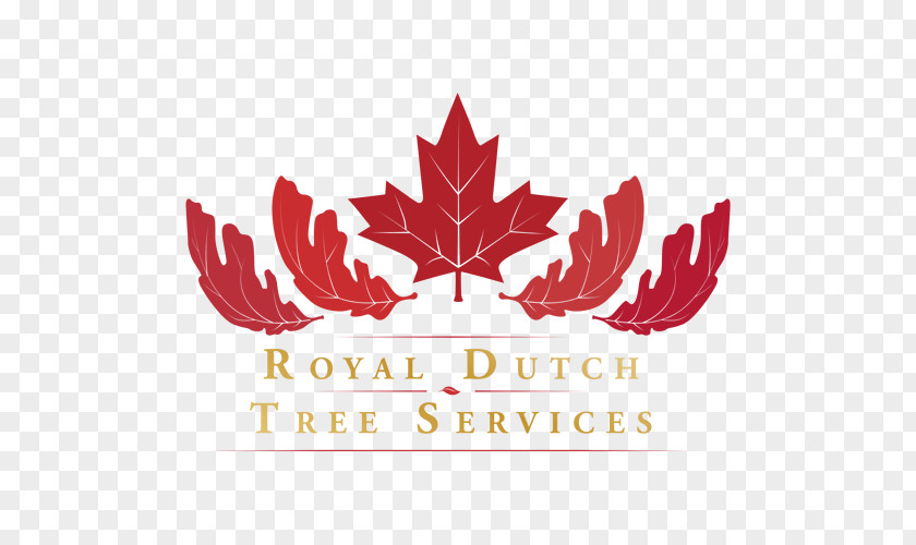 Tree Arborist Royal Dutch Services Digital Marketing Customer PNG