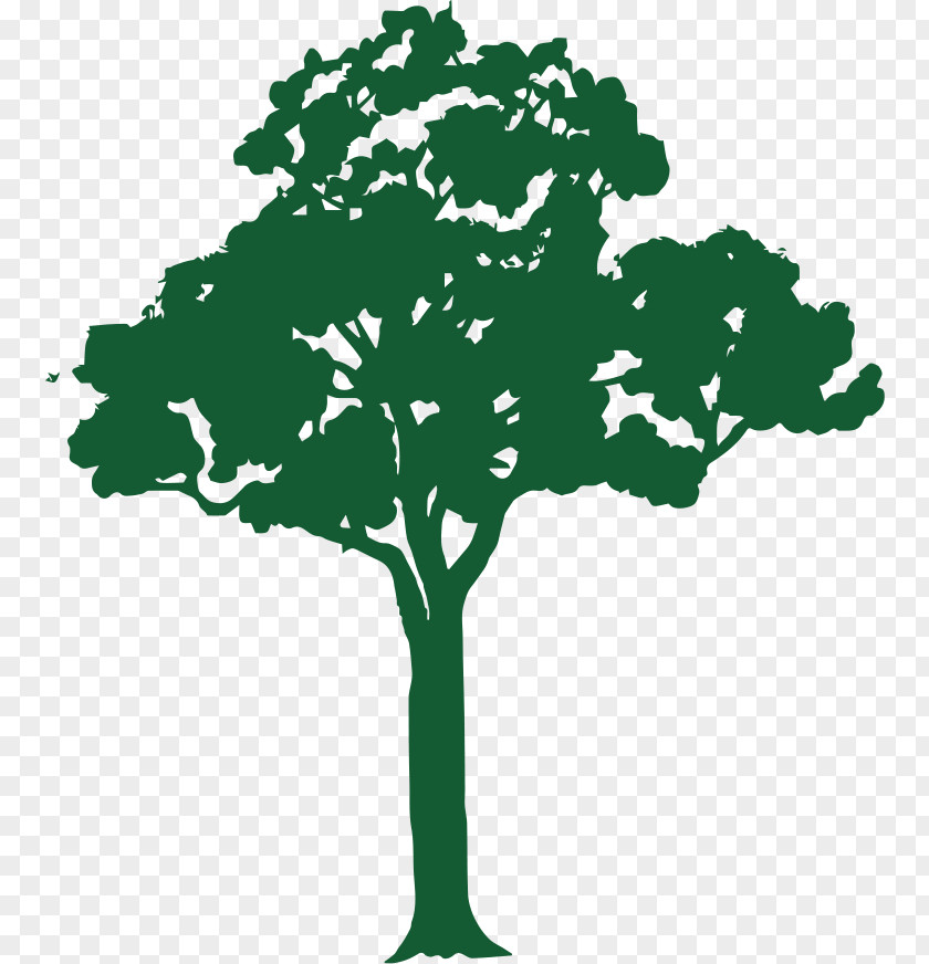 Tree Branch Vector Graphics Clip Art Royalty-free PNG