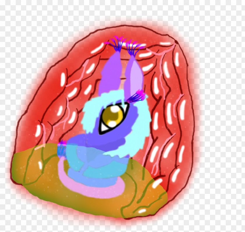 Vore Cartoon Organism Mouth Font PNG