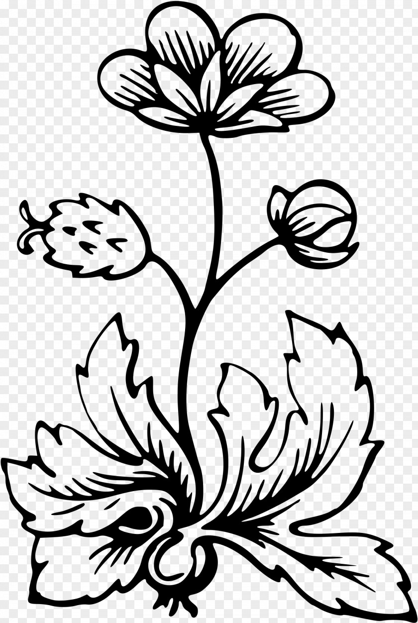 Barbwire Flower Flora Clip Art PNG