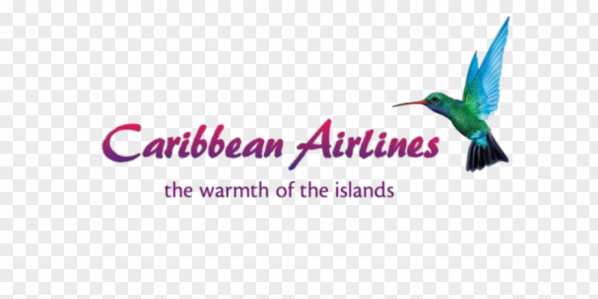 Beat Advertising Piarco International Airport Cheddi Jagan Caribbean Airlines Limited Flight PNG