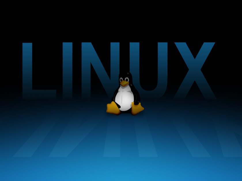 Linux Penguin Tux Desktop Wallpaper Display Resolution PNG
