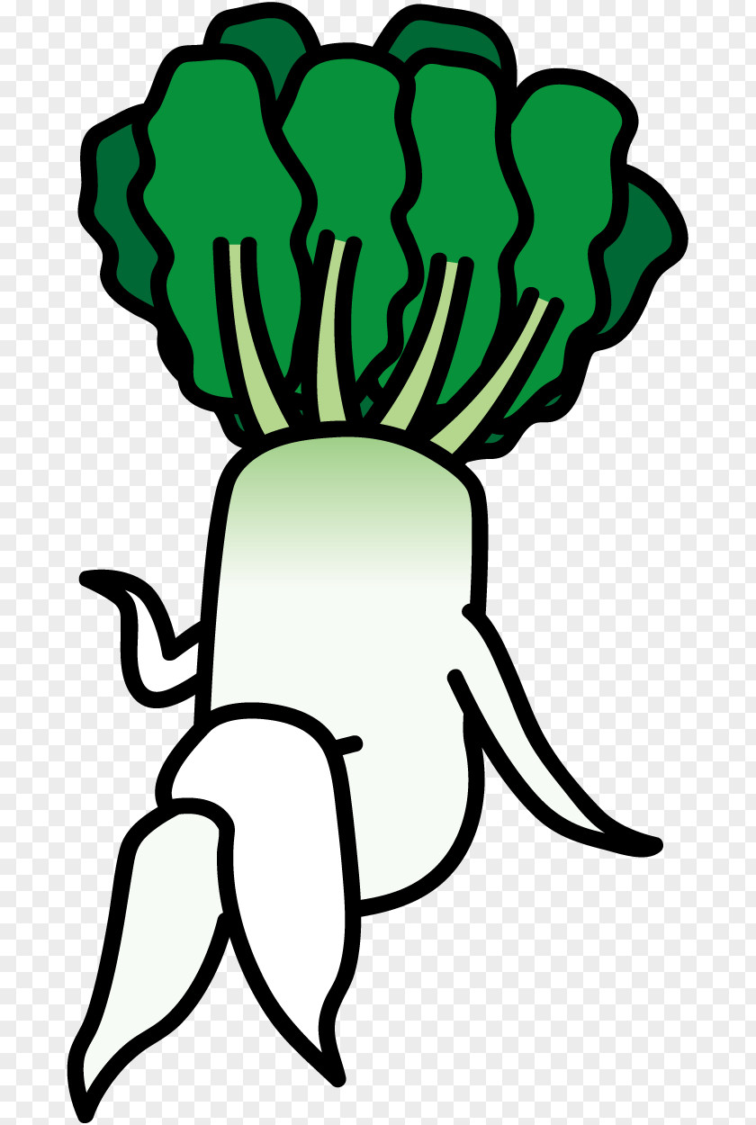 Radish Daikon Vegetable Workwear Clip Art PNG