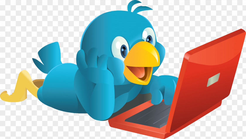 Bird Social Media Twitter User Networking Service PNG