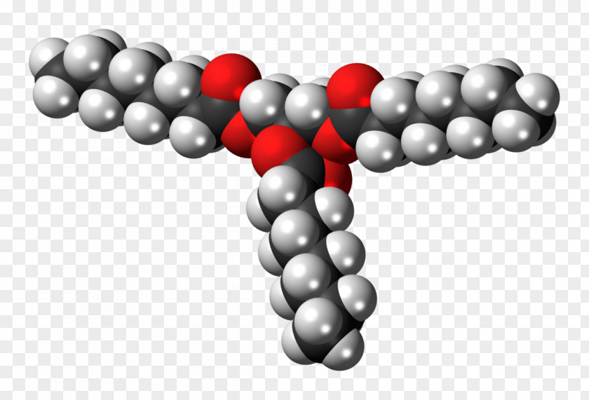 Brain Health Medium-chain Triglyceride Fatty Acid Triheptanoin Space-filling Model PNG