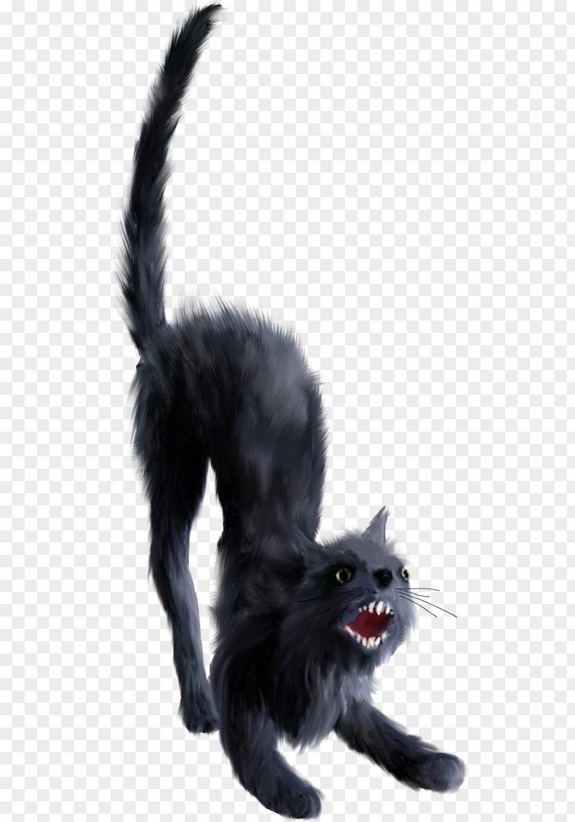 Cat Black Clip Art PNG