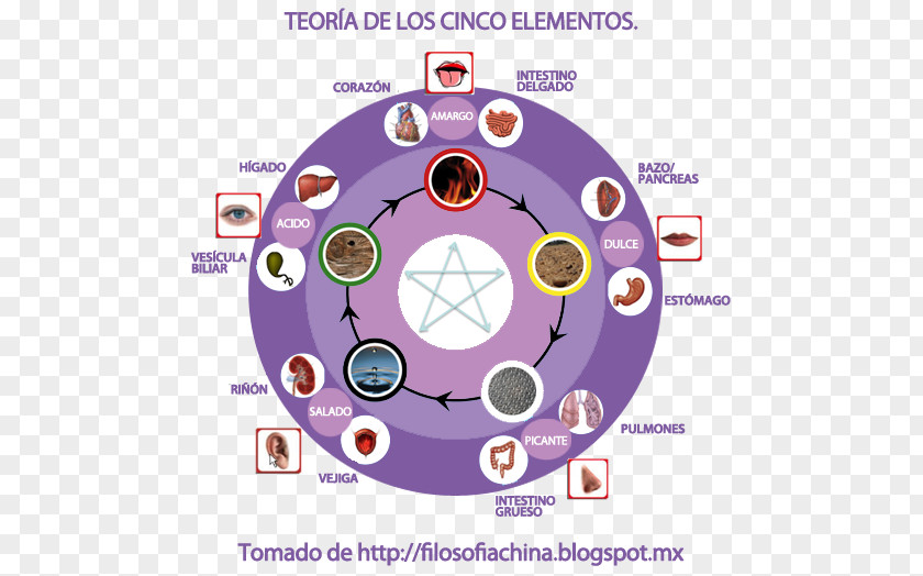 Design Diagram Organism PNG