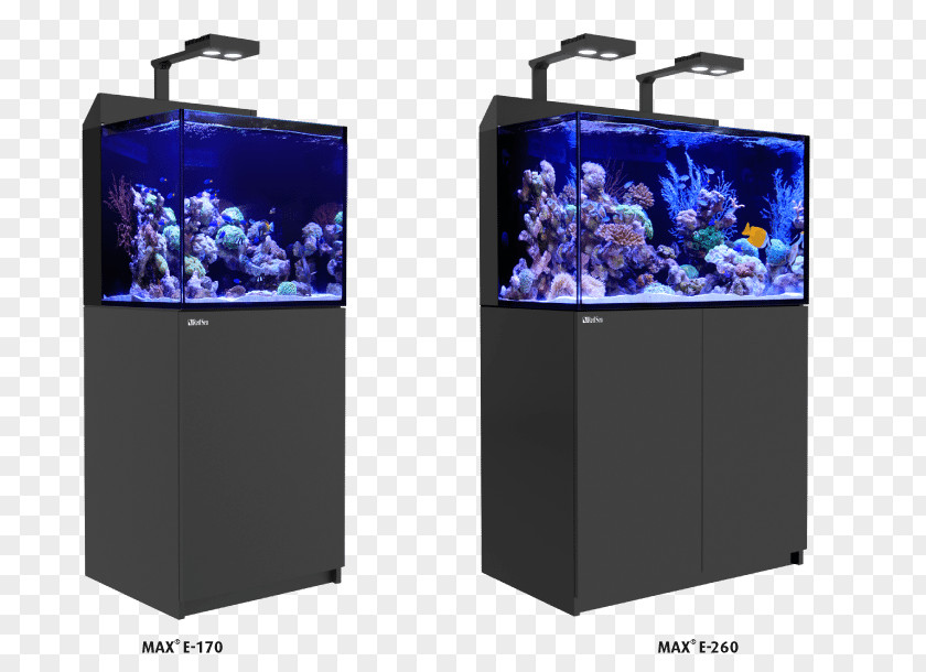 Led Lamp Reef Aquarium Coral Red Sea PNG