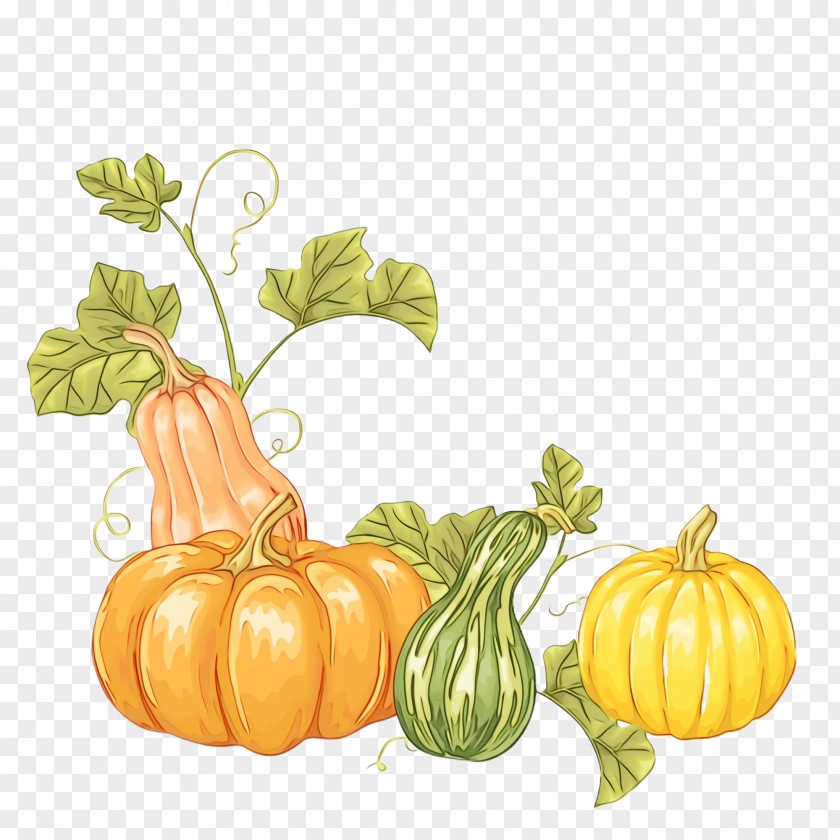 Squash Gourd Pumpkin PNG