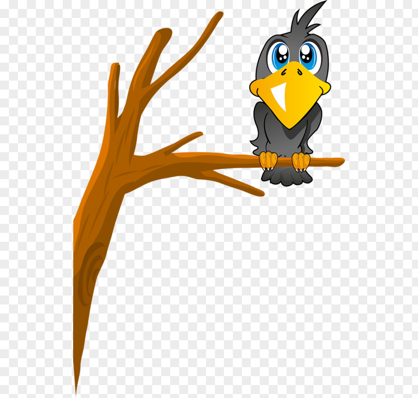 Branch Crow Bird Crows Clip Art PNG