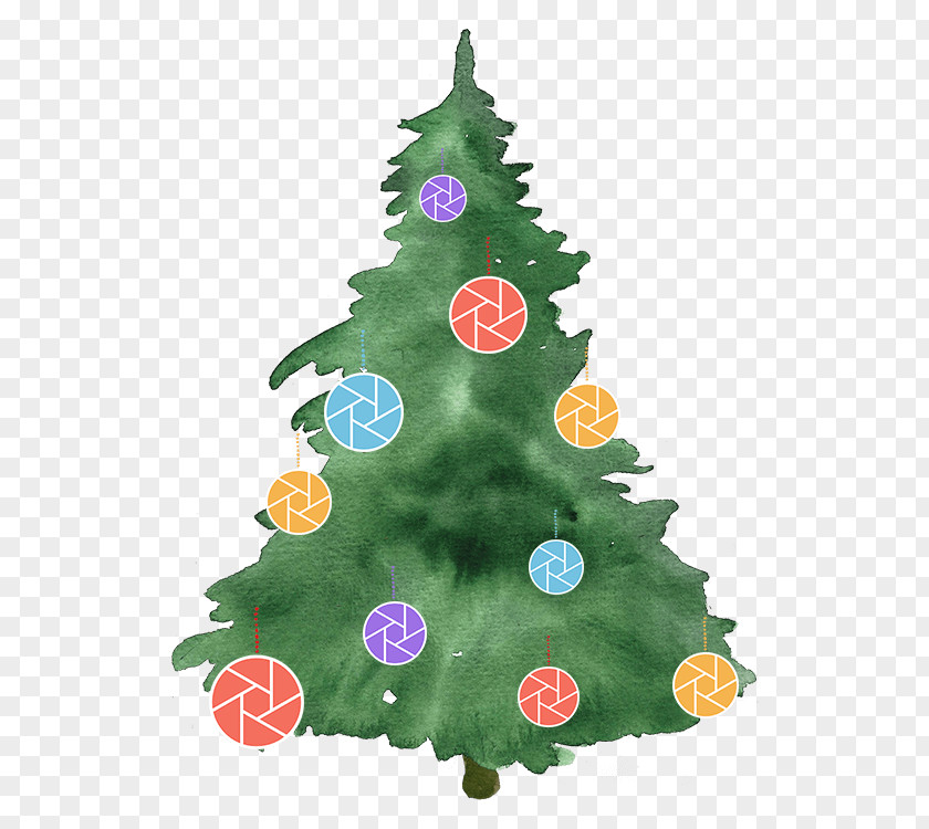 Christmas Tree Photography Watercolor Painting PNG