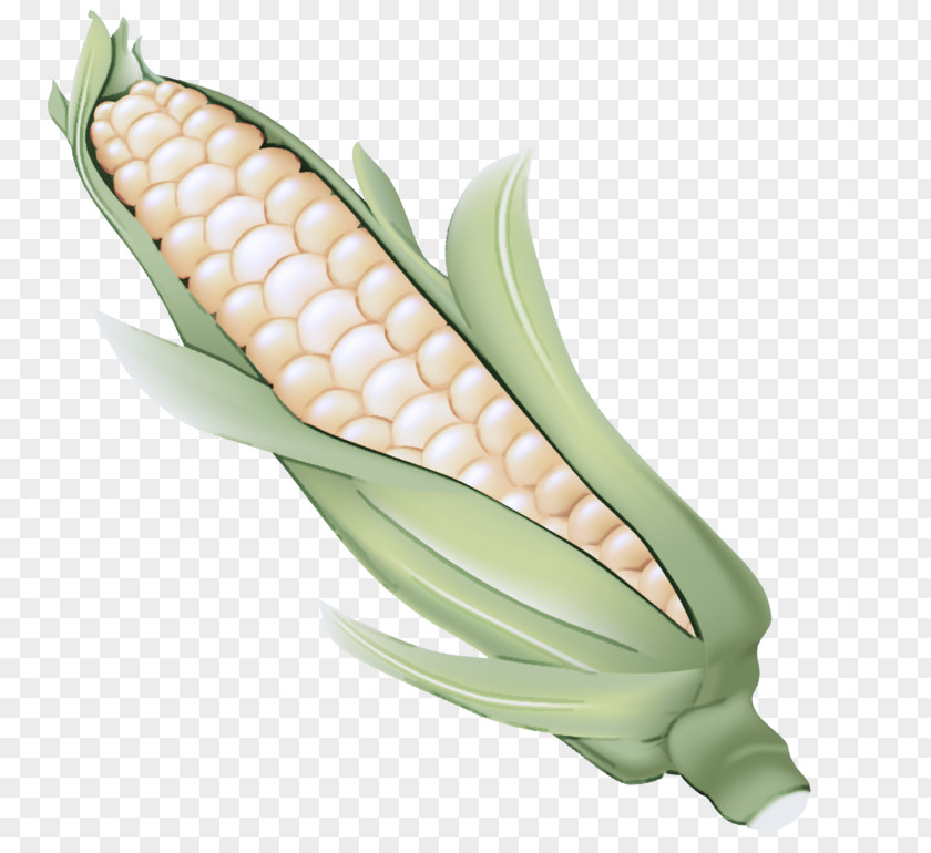 Corn On The Cob Sweet Vegetable Kernels PNG