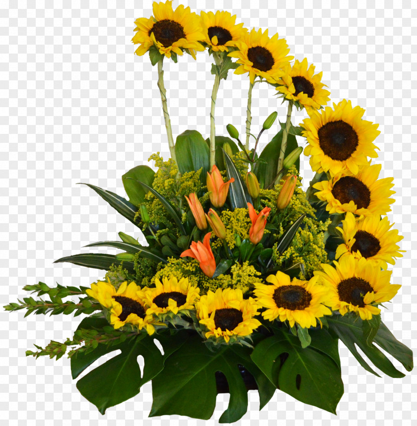 Flower Common Sunflower Name Day Cut Flowers Bouquet PNG