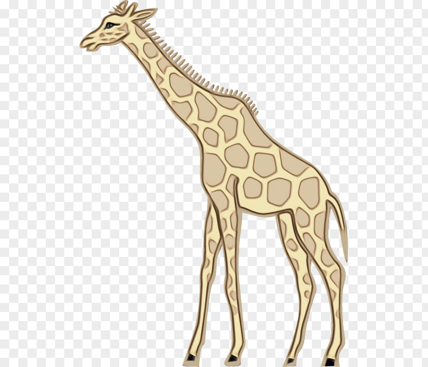 Giraffe / M 佳乐达有限公司 Animal Figurine Machine Tool PNG