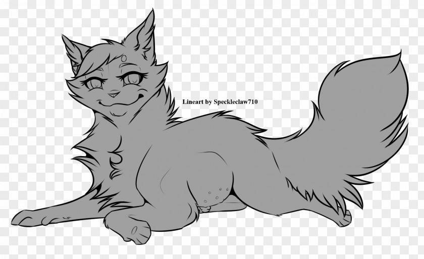 Kitten Whiskers Cat Line Art Sketch PNG