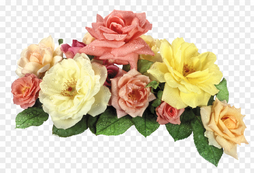 Roses Image File Formats Lossless Compression PNG