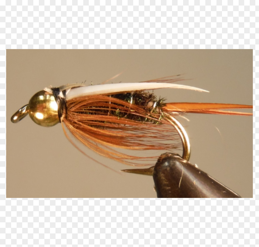 Insect Spoon Lure Spinnerbait PNG