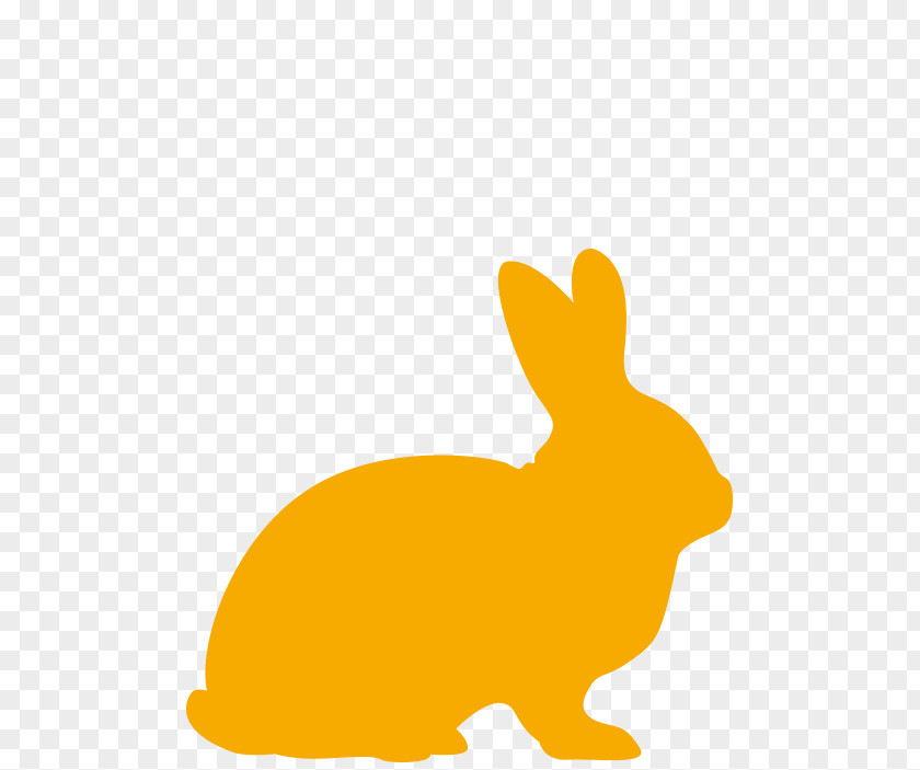 Rabbit Domestic Hare Haydon Veterinary Group Easter Bunny Rex PNG