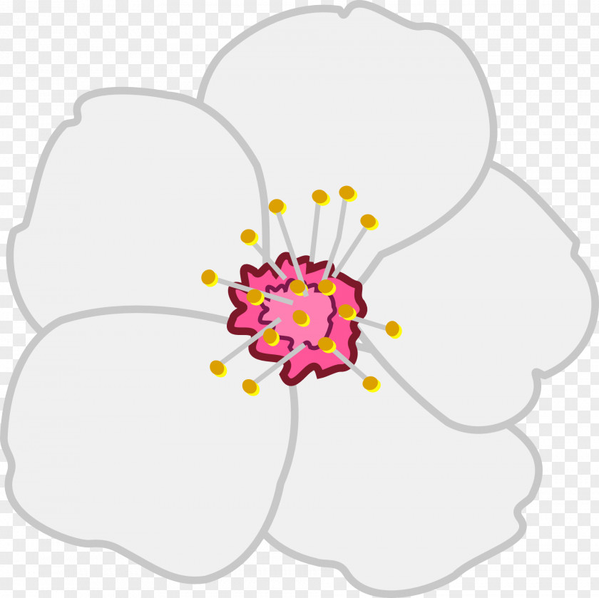 Almond Blossom Flower Apple Clip Art PNG