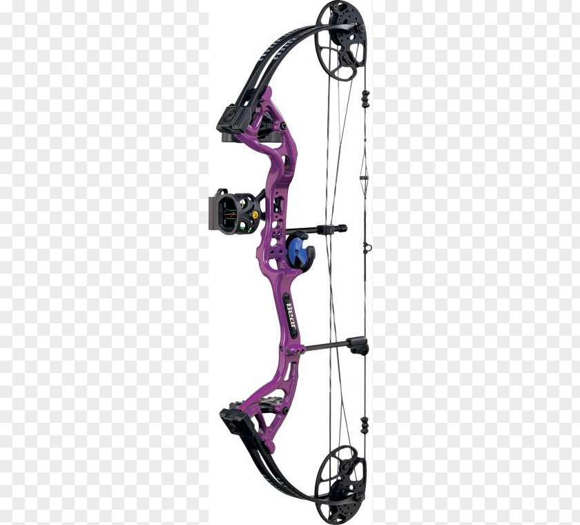 Bow Compound Bows Bear Archery And Arrow Hunting PNG