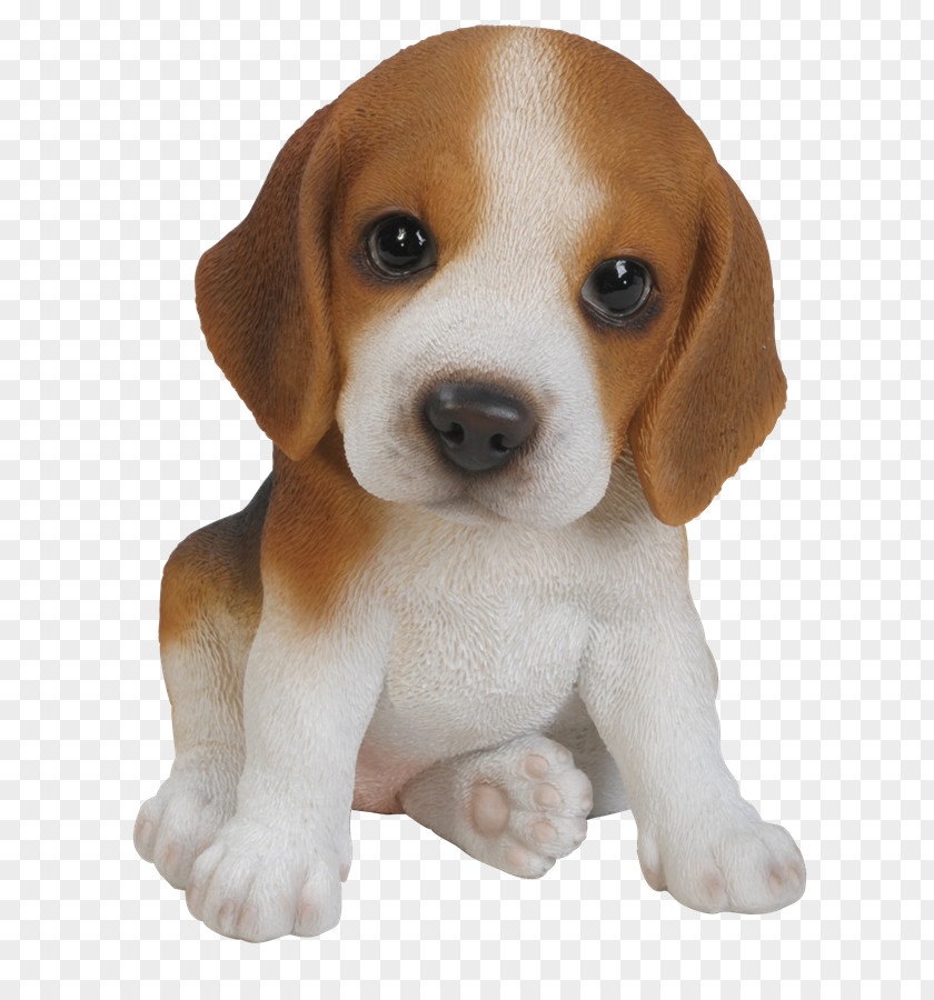 Cute Dog Beagle Puppy Harrier Yorkshire Terrier Pug PNG