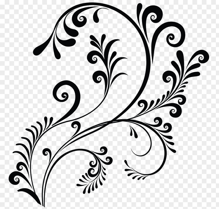 Flower Floral Design Monochrome Ornament PNG