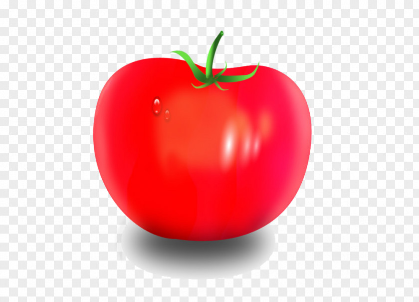 Fruit Painted 3d Image Vector Tomato Diet Food Apple Natural Foods PNG